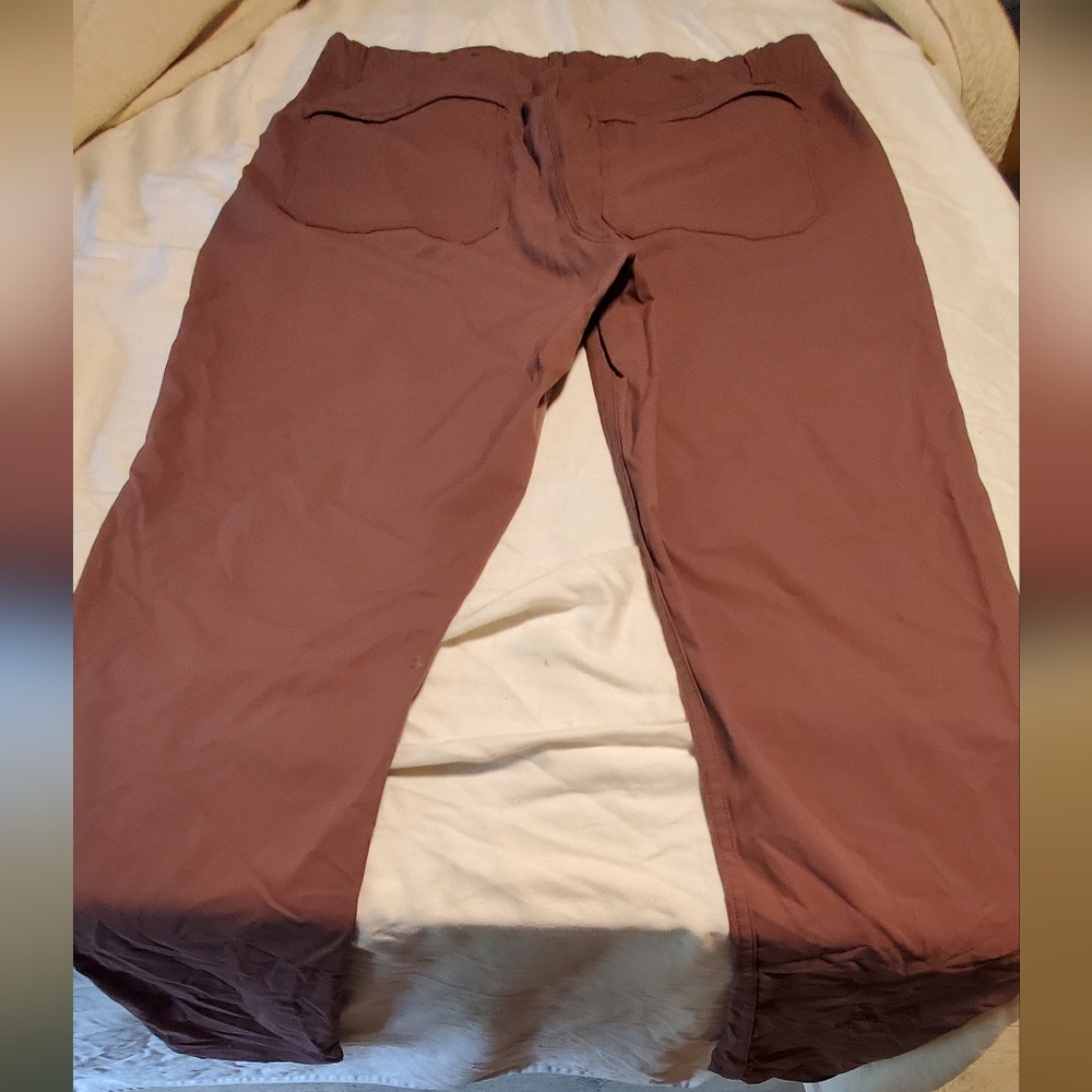REI Climbing/hiking  Mauve Pants